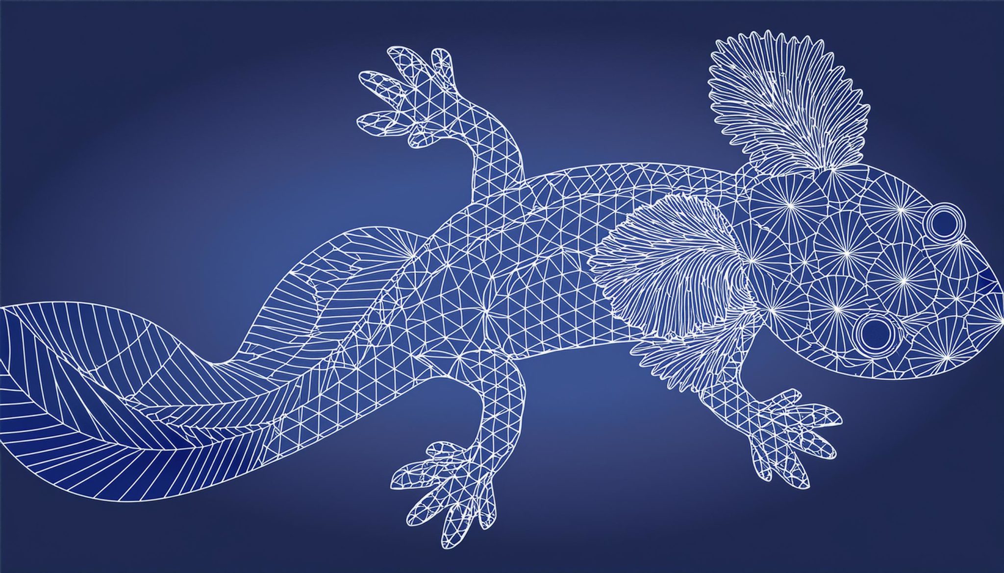 ウーパールーパー 温度管理の重要性と効果的な方法